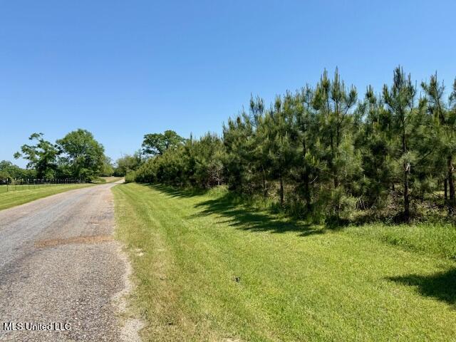 1262 Holmesville Road Jayess, MS 39641 - Photo 69 of 76 IMG_5142