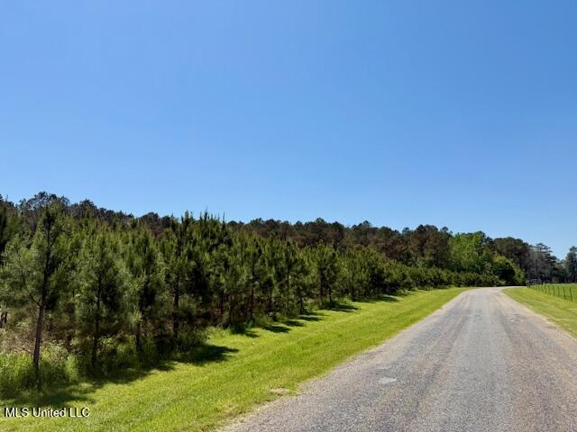 1262 Holmesville Road Jayess, MS 39641 - Photo 70 of 76 IMG_5145