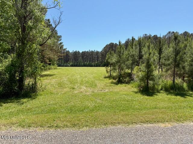 1262 Holmesville Road Jayess, MS 39641 - Photo 71 of 76 IMG_5143