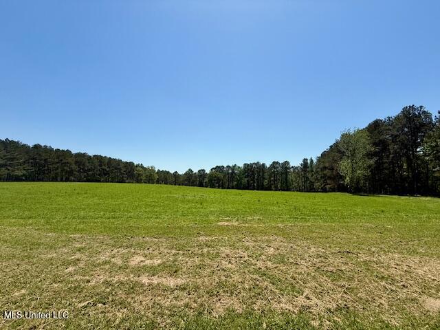 1262 Holmesville Road Jayess, MS 39641 - Photo 9 of 76 IMG_5048