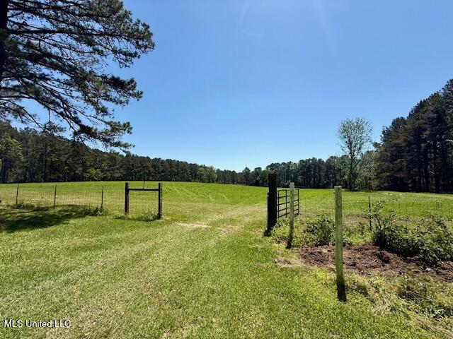 1262 Holmesville Road Jayess, MS 39641 - Photo 10 of 76 IMG_5053