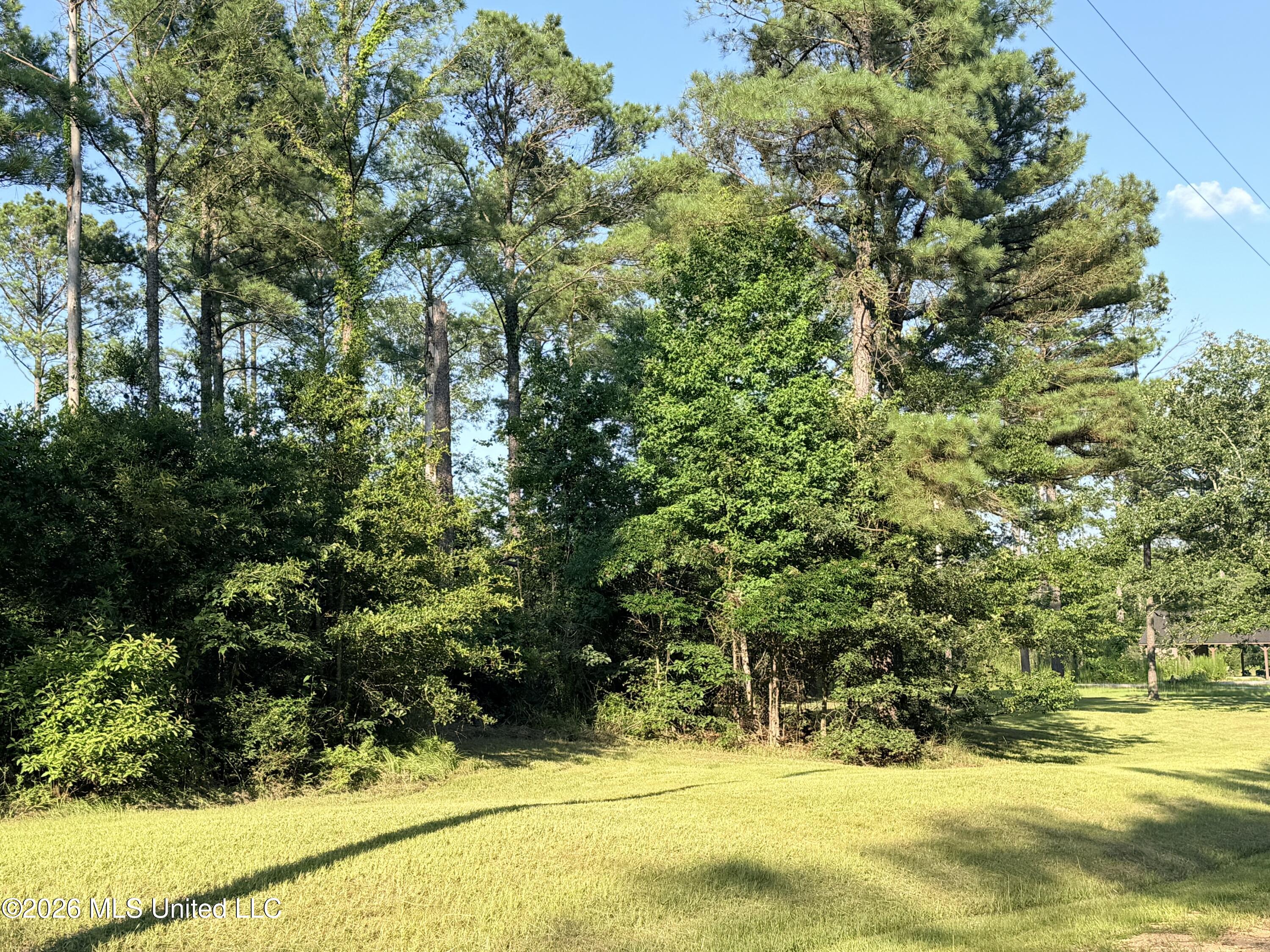 Lake Springwater Drive Brandon, MS 39042 - Photo 6 of 10 IMG_3641