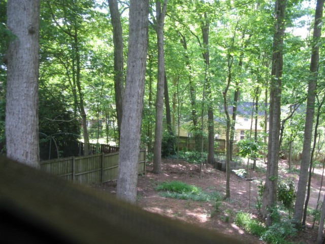 4201 Webster Court Raleigh, NC 27609 - Photo 5 of 25 Canopy of trees add to your enjoying your back yard all summer. Mature hardwood trees