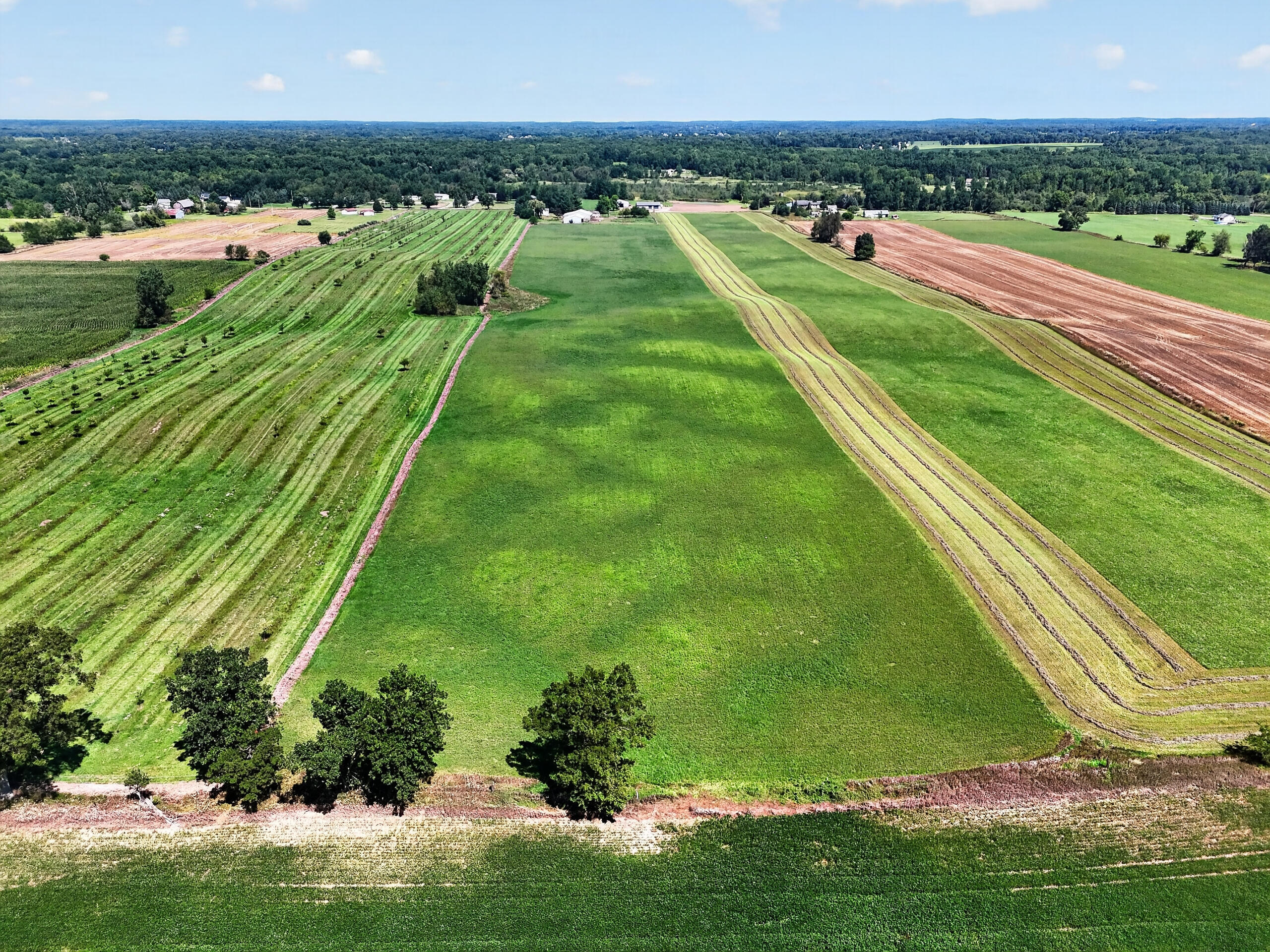 10031 Hastings Road Jackson, MI 49201 - Photo 41 of 59 DJI_20260817123933_0019_D
