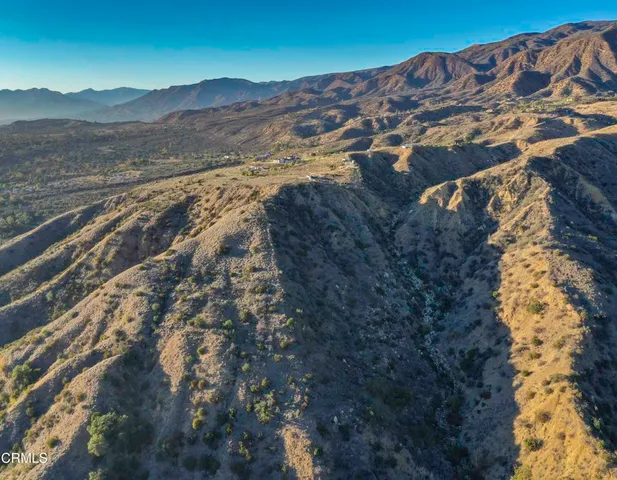 a close view of a yard