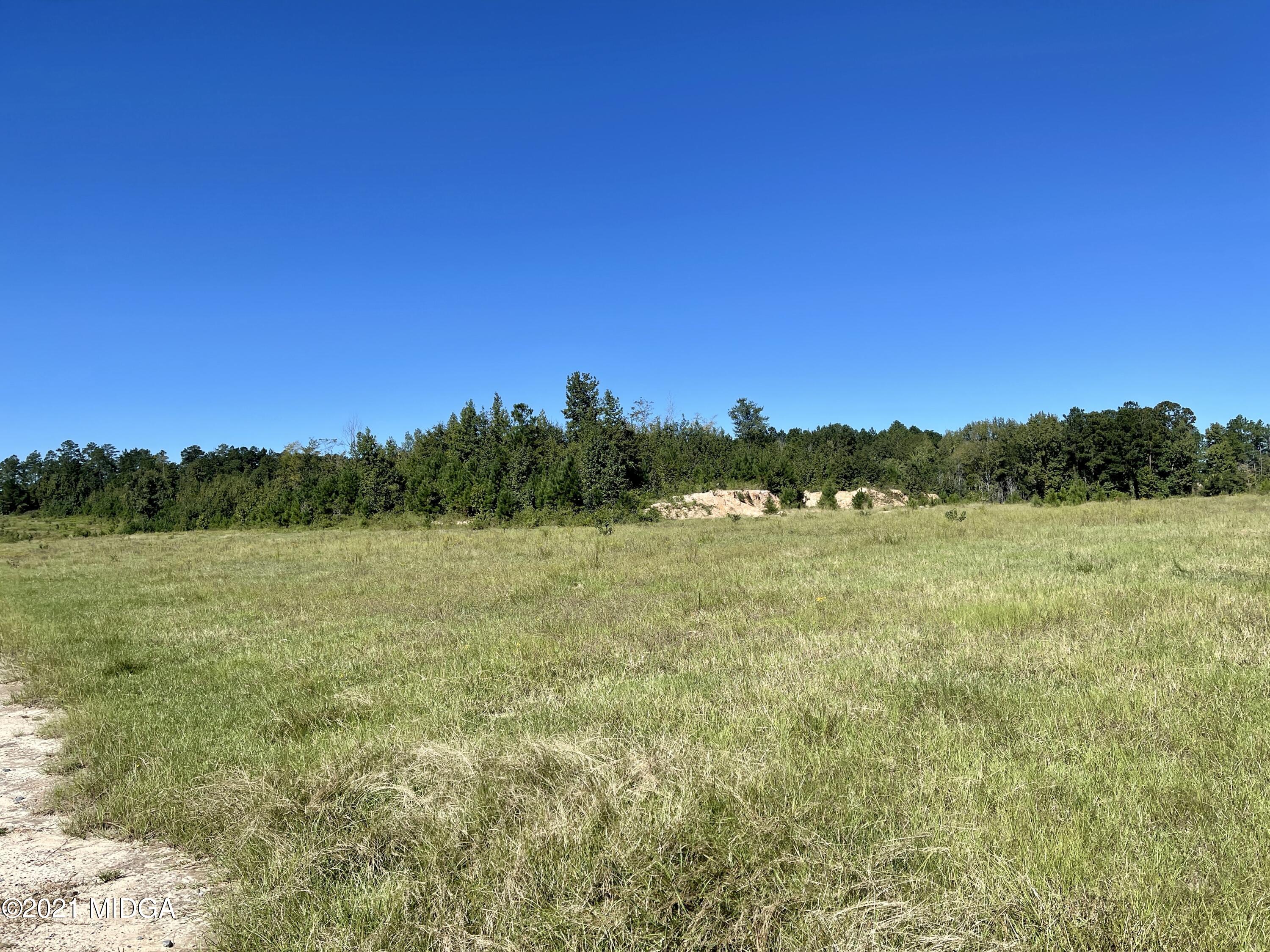 Lot 00 Old Gordon Road Macon, GA 31217 - Photo 2 of 39 IMG_0398