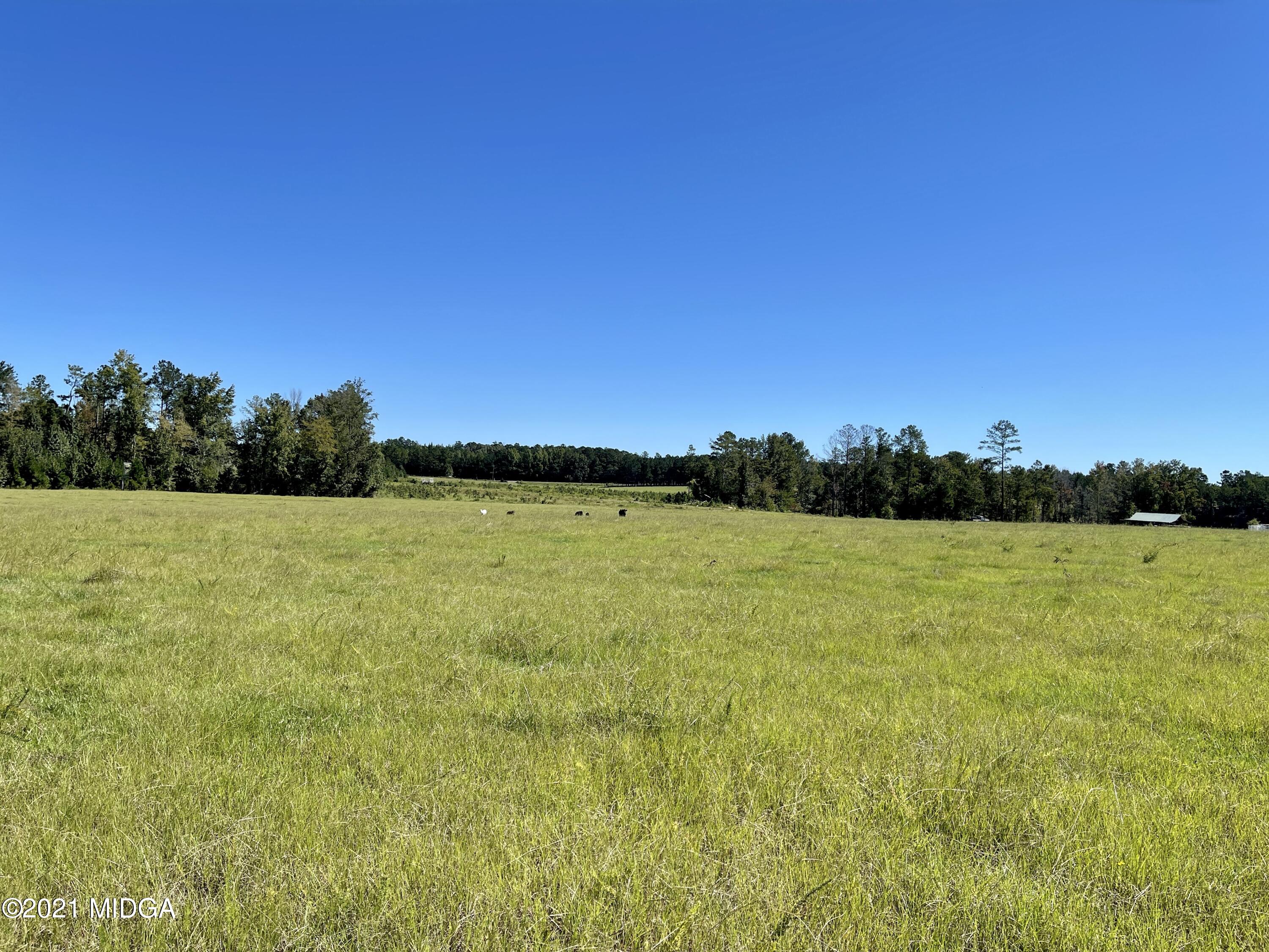Lot 00 Old Gordon Road Macon, GA 31217 - Photo 19 of 39 IMG_0424