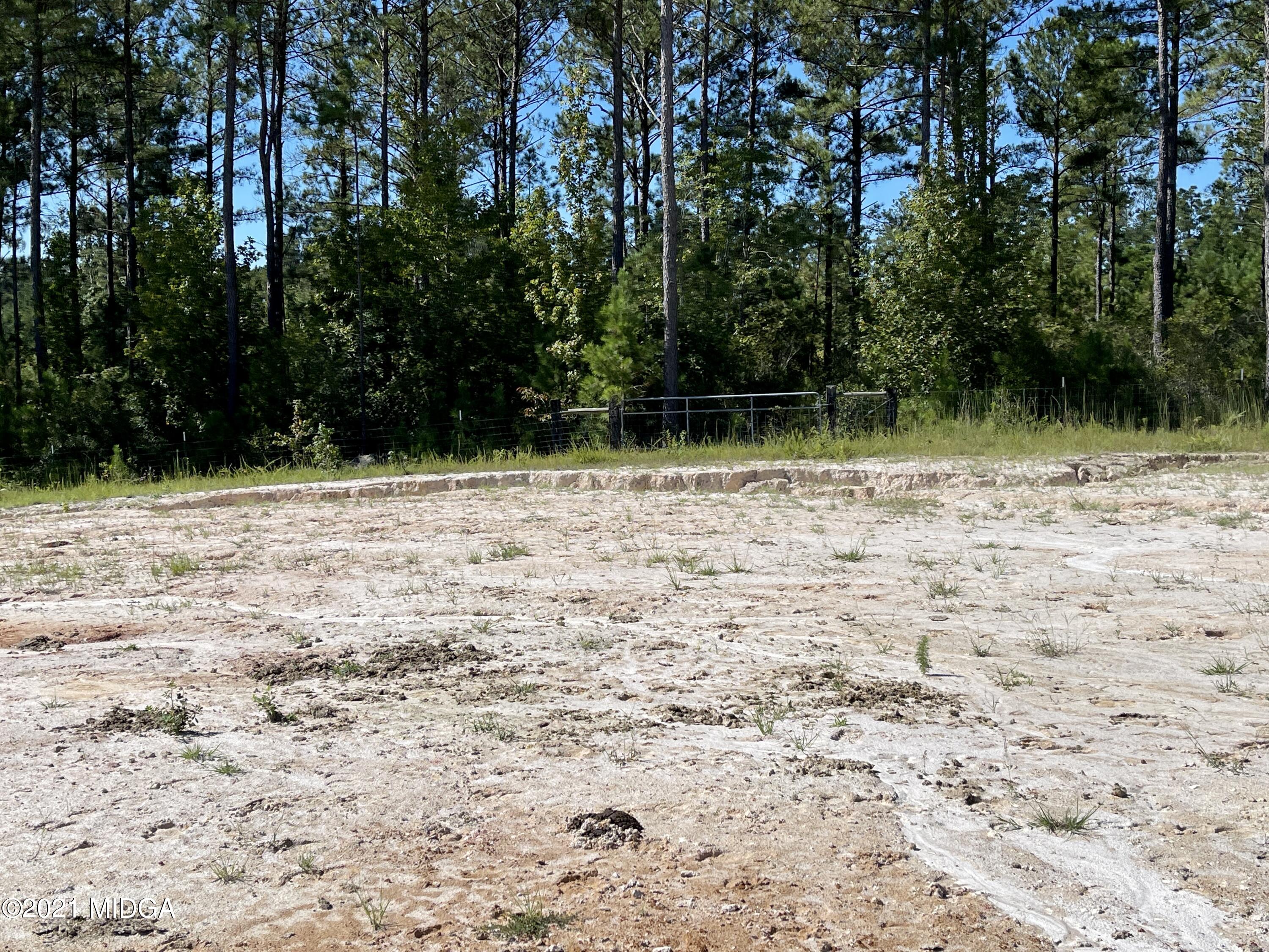 Lot 00 Old Gordon Road Macon, GA 31217 - Photo 20 of 39 IMG_0426