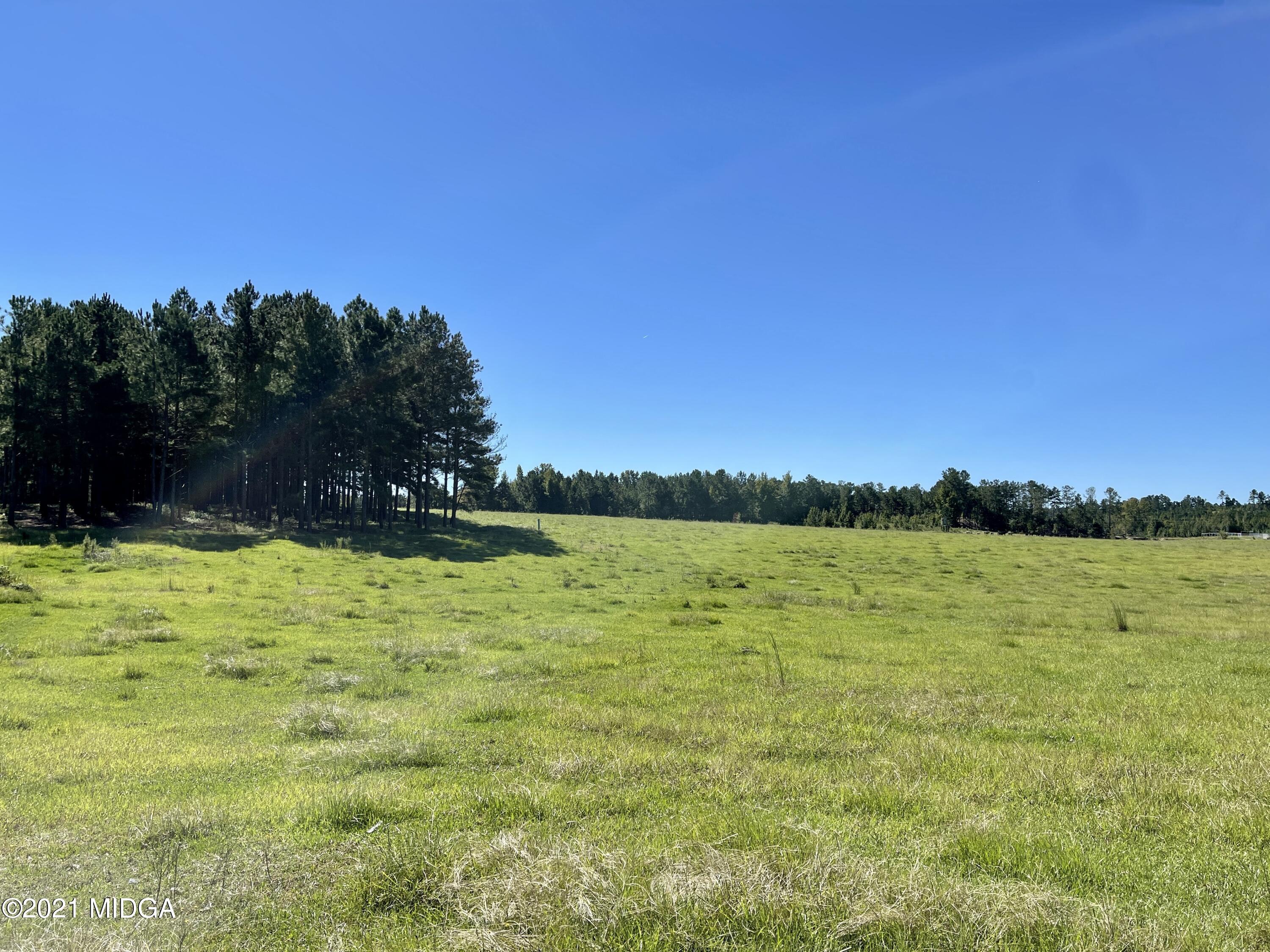 Lot 00 Old Gordon Road Macon, GA 31217 - Photo 3 of 39 IMG_0399