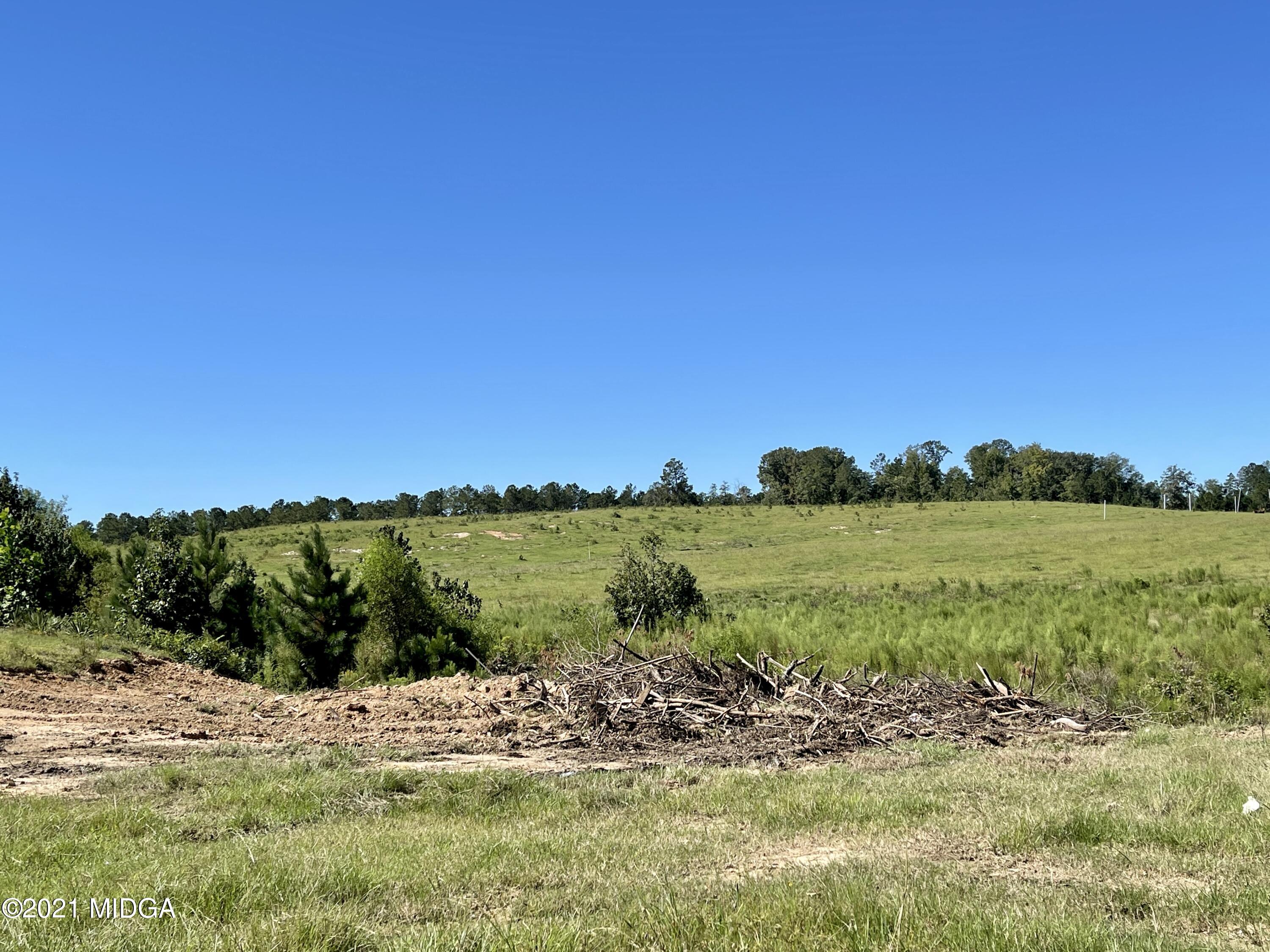 Lot 00 Old Gordon Road Macon, GA 31217 - Photo 25 of 39 IMG_0435