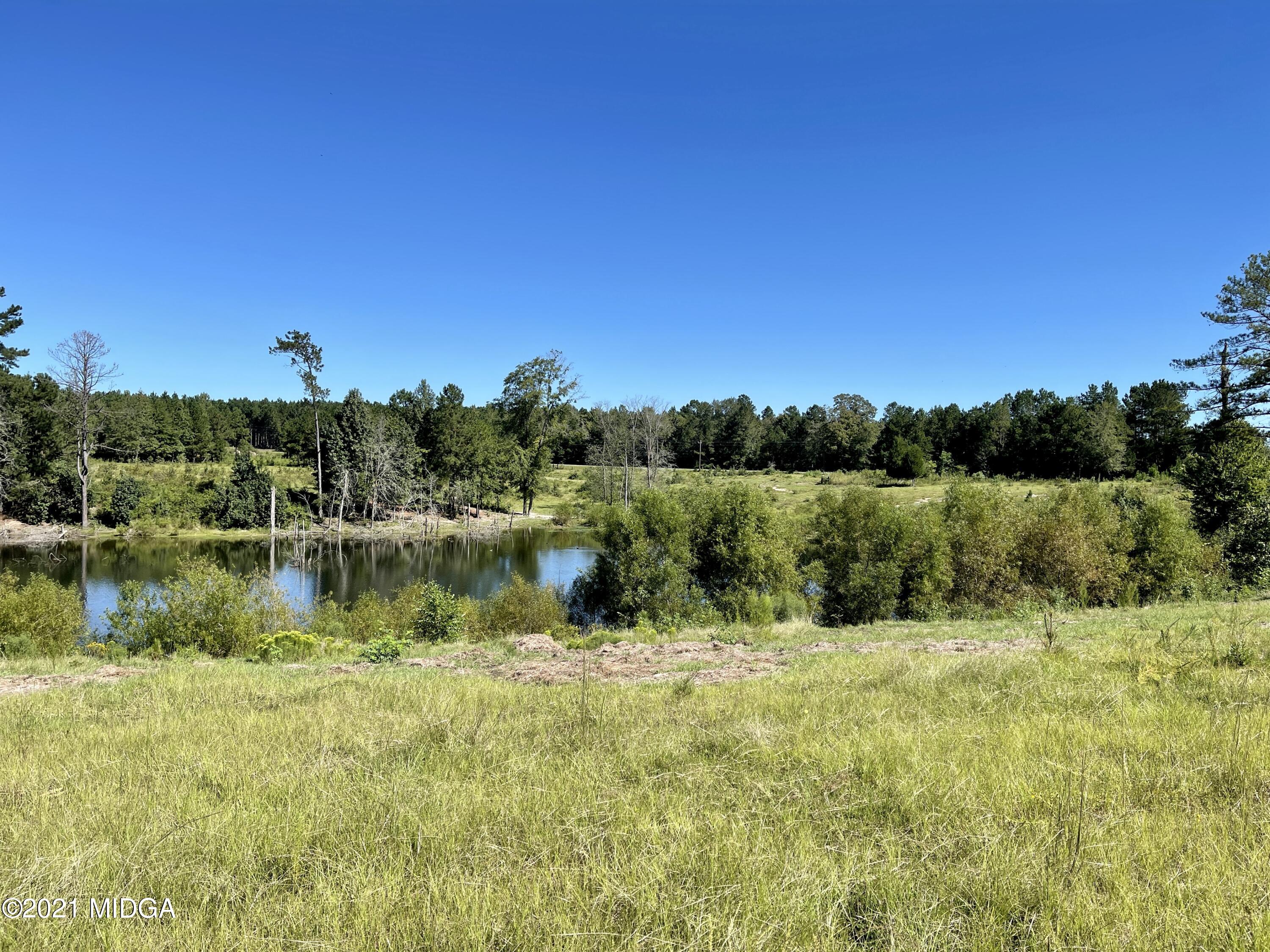 Lot 00 Old Gordon Road Macon, GA 31217 - Photo 34 of 39 IMG_0444
