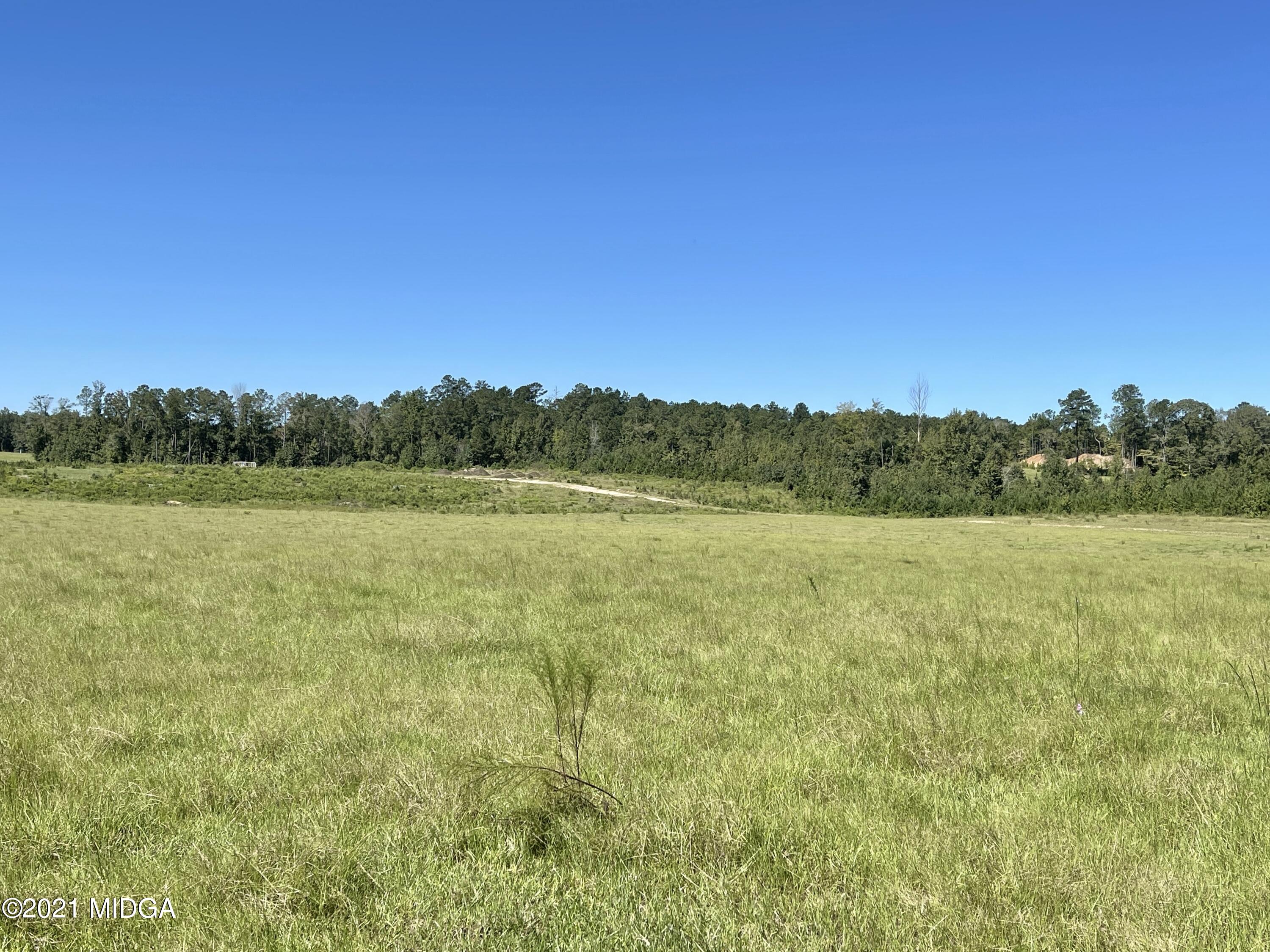 Lot 00 Old Gordon Road Macon, GA 31217 - Photo 39 of 39 IMG_0453