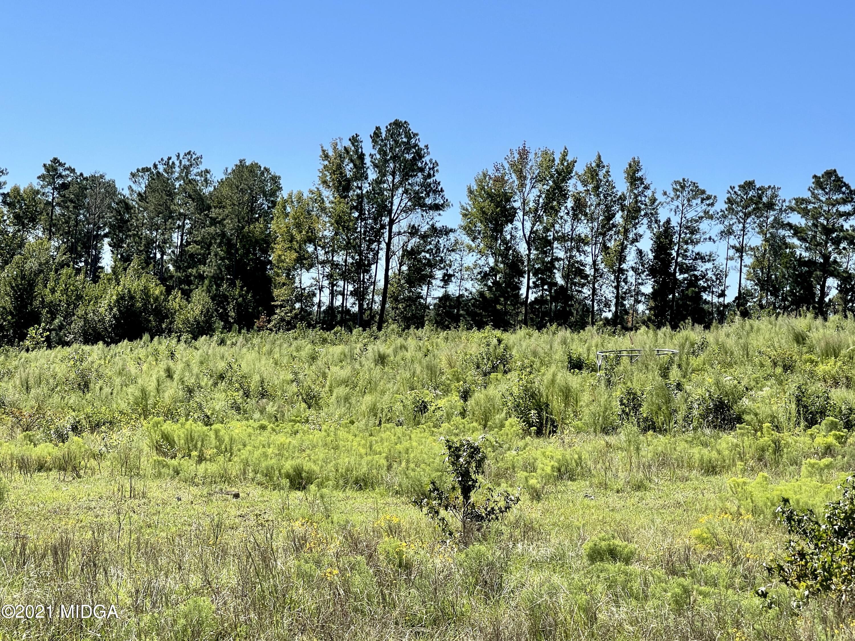 Lot 00 Old Gordon Road Macon, GA 31217 - Photo 5 of 39 IMG_0403