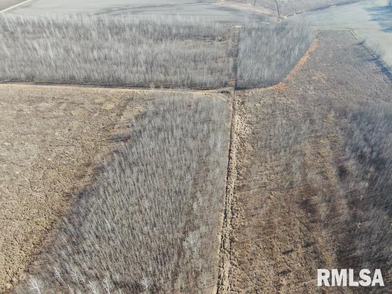 0 North 150th Street Sumner, IL 62466 - Photo 14 of 54