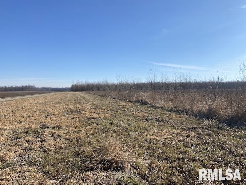 0 North 150th Street Sumner, IL 62466 - Photo 17 of 54