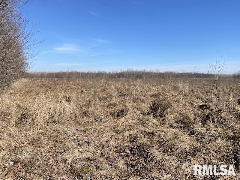 0 North 150th Street Sumner, IL 62466 - Photo 19 of 54