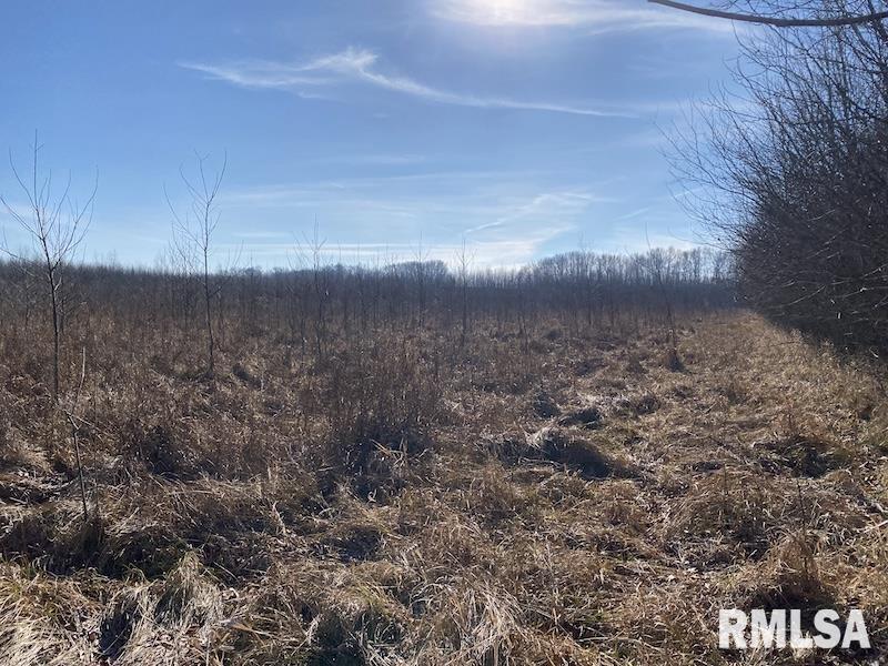 0 North 150th Street Sumner, IL 62466 - Photo 20 of 54