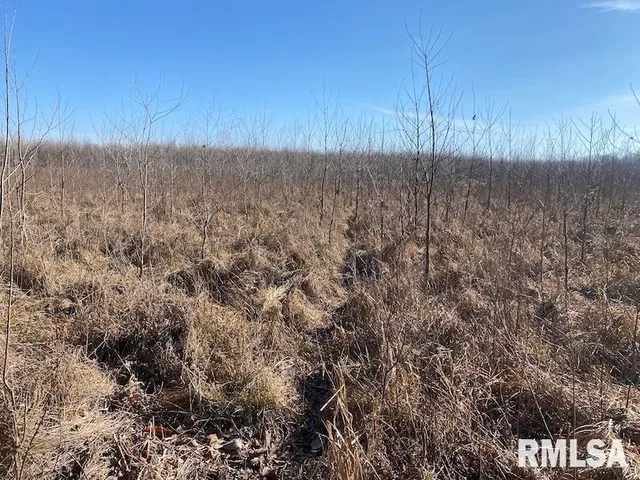 $203,000 | 0 North 150th Street, Sumner, IL 62466