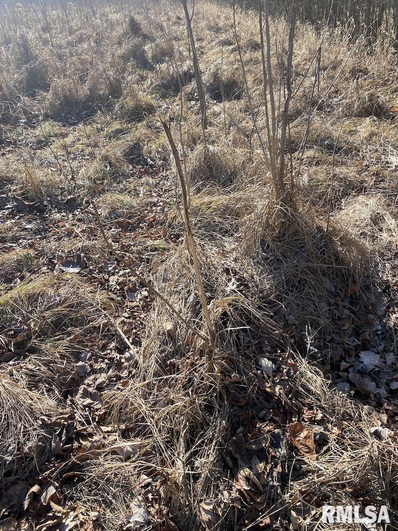 0 North 150th Street Sumner, IL 62466 - Photo 23 of 54