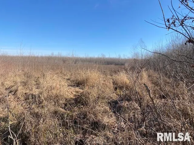 $203,000 | 0 North 150th Street, Sumner, IL 62466