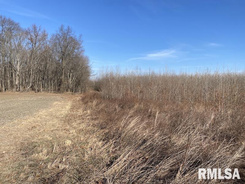 0 North 150th Street Sumner, IL 62466 - Photo 29 of 54