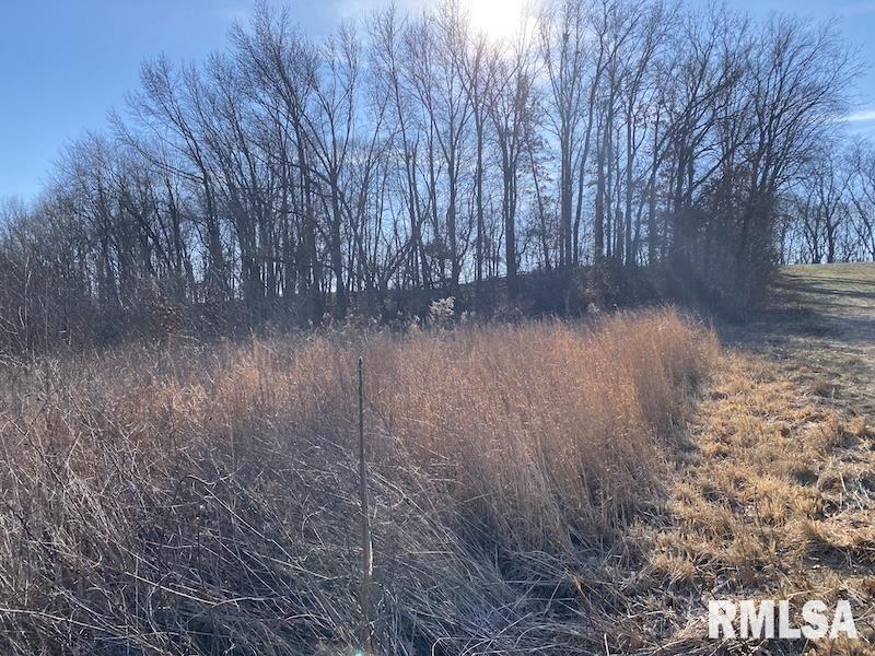 0 North 150th Street Sumner, IL 62466 - Photo 31 of 54