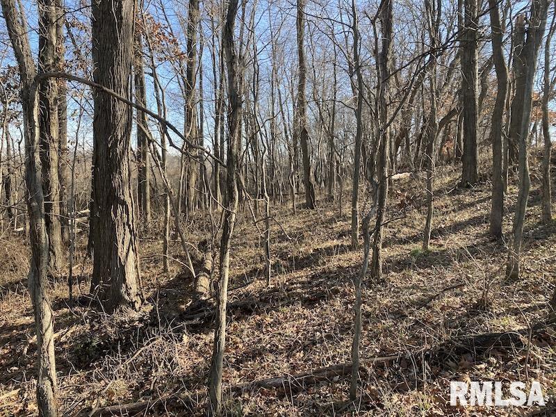 0 North 150th Street Sumner, IL 62466 - Photo 33 of 54