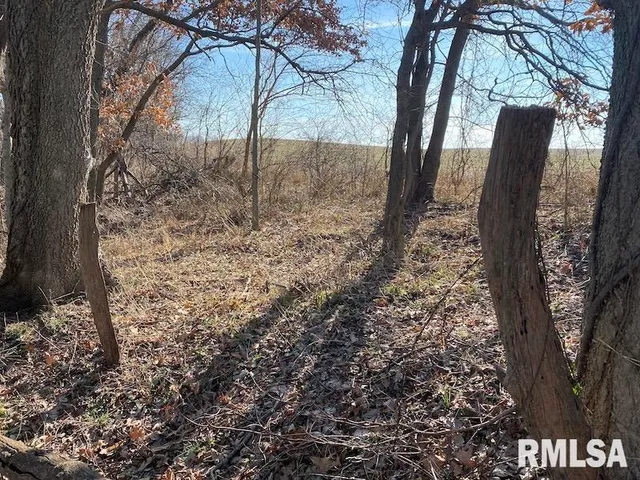 $203,000 | 0 North 150th Street, Sumner, IL 62466