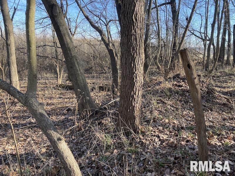 0 North 150th Street Sumner, IL 62466 - Photo 35 of 54