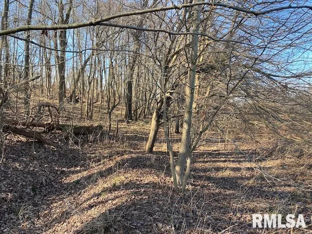 $203,000 | 0 North 150th Street, Sumner, IL 62466