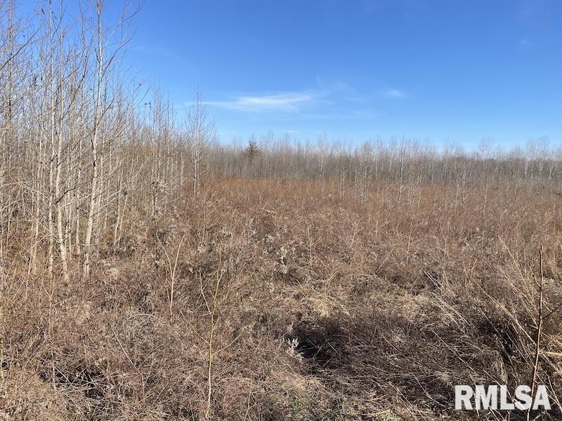 0 North 150th Street Sumner, IL 62466 - Photo 38 of 54