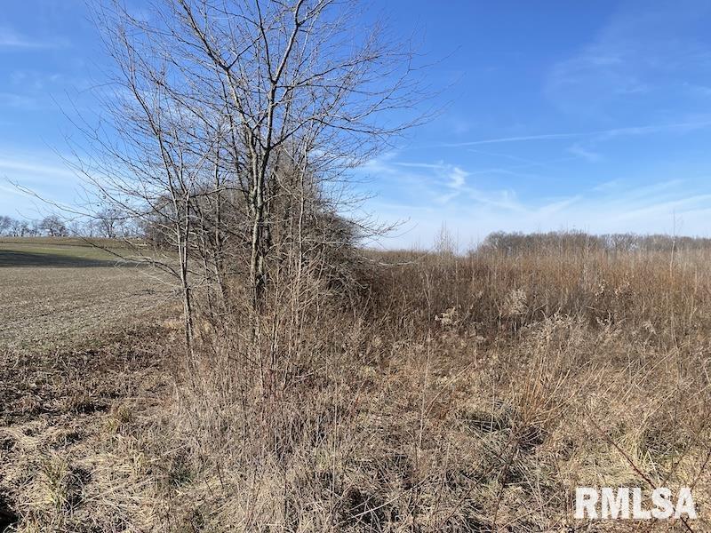 0 North 150th Street Sumner, IL 62466 - Photo 40 of 54