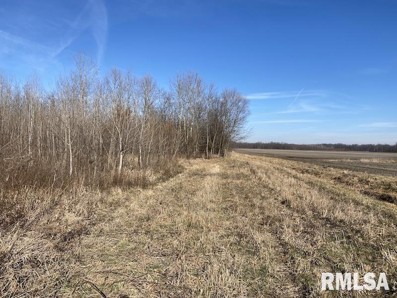 0 North 150th Street Sumner, IL 62466 - Photo 41 of 54