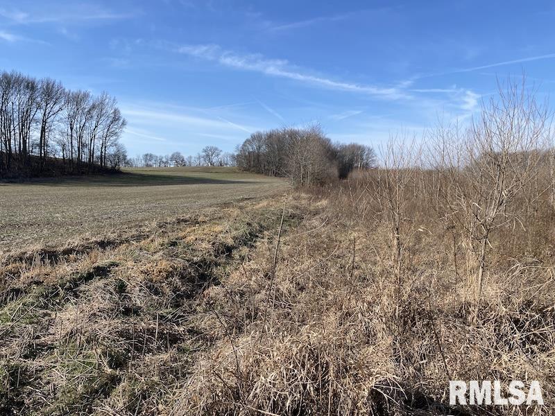 0 North 150th Street Sumner, IL 62466 - Photo 42 of 54