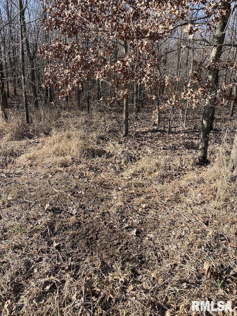 0 North 150th Street Sumner, IL 62466 - Photo 44 of 54