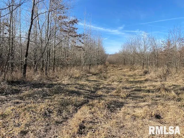 $203,000 | 0 North 150th Street, Sumner, IL 62466