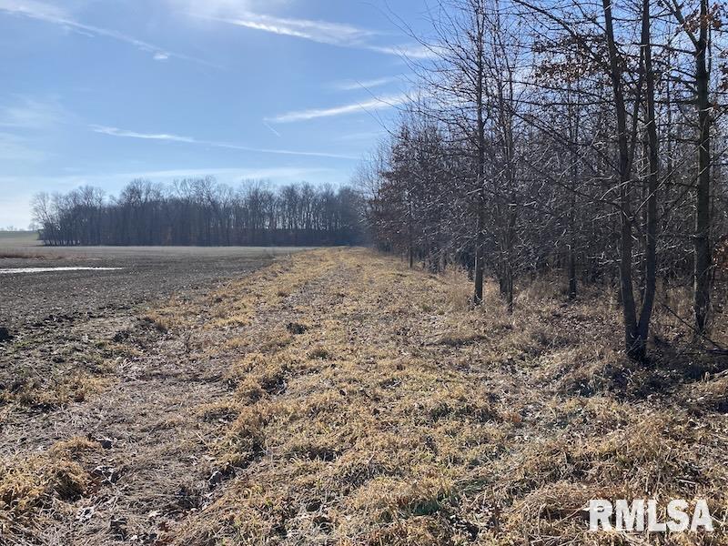 0 North 150th Street Sumner, IL 62466 - Photo 46 of 54