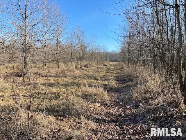 $203,000 | 0 North 150th Street, Sumner, IL 62466