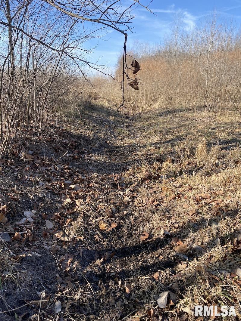 0 North 150th Street Sumner, IL 62466 - Photo 49 of 54