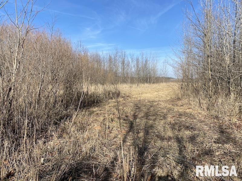 0 North 150th Street Sumner, IL 62466 - Photo 50 of 54