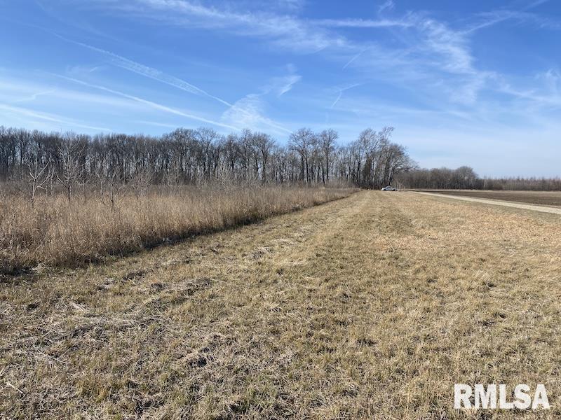 0 North 150th Street Sumner, IL 62466 - Photo 53 of 54