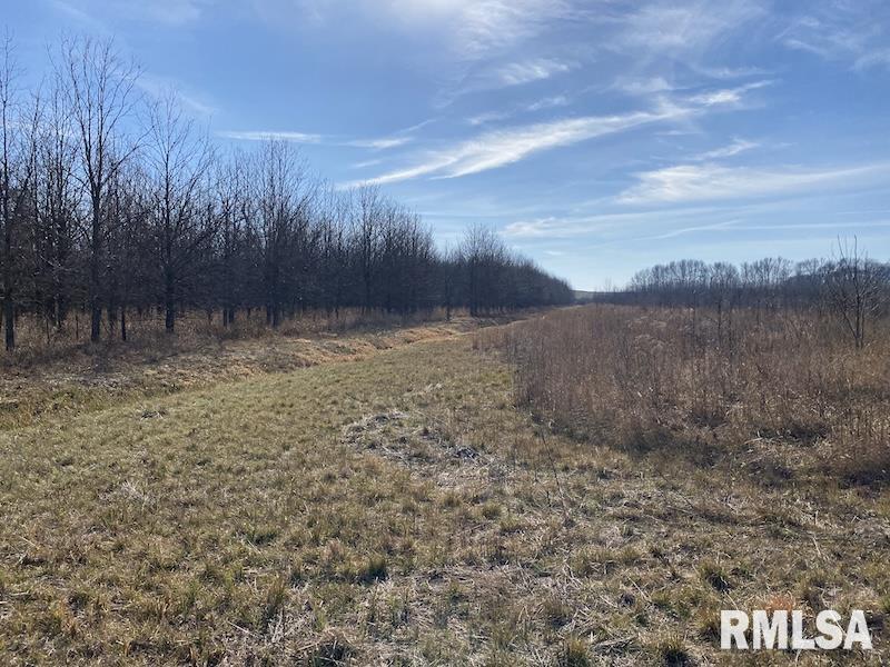 0 North 150th Street Sumner, IL 62466 - Photo 54 of 54