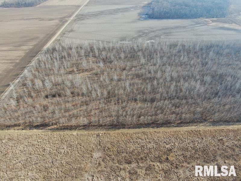 0 North 150th Street Sumner, IL 62466 - Photo 6 of 54