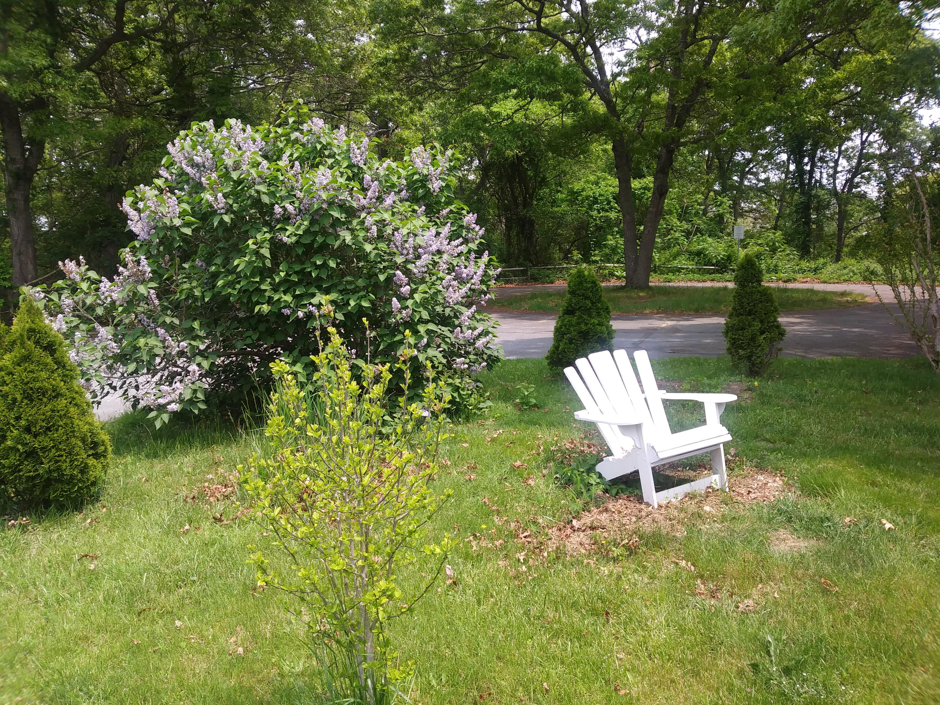 64 Crooked Pond Road Hyannis, MA 02601 - Photo 17 of 21 a view of a bench in backyard of a house