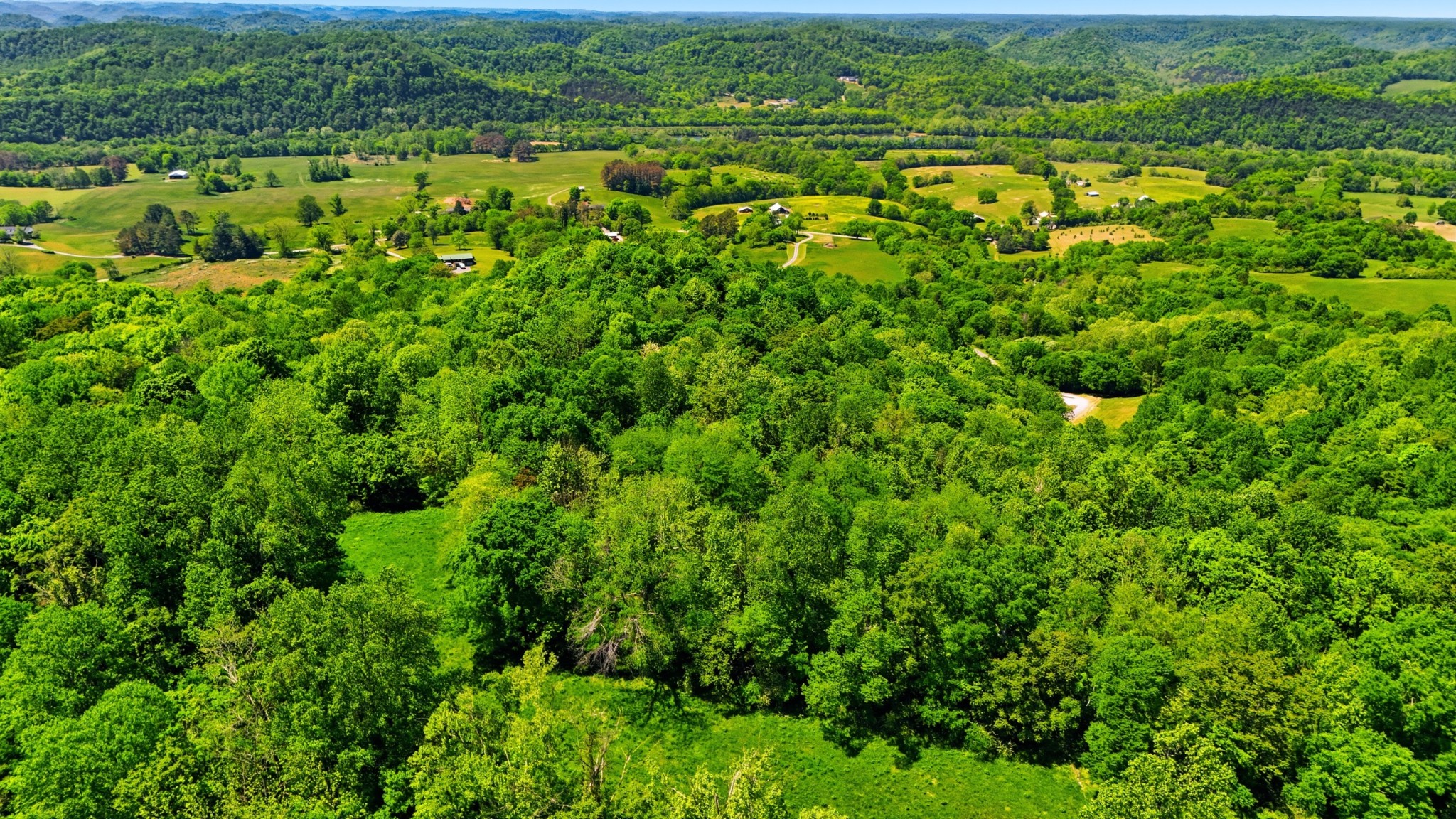 2431 Free State Road Gainesboro, TN 38562 - Photo 64 of 82
