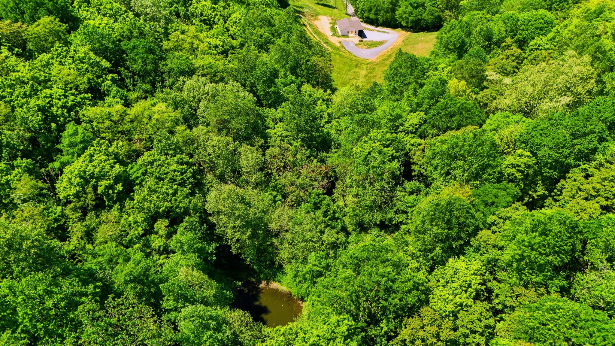 2431 Free State Road Gainesboro, TN 38562 - Photo 68 of 82
