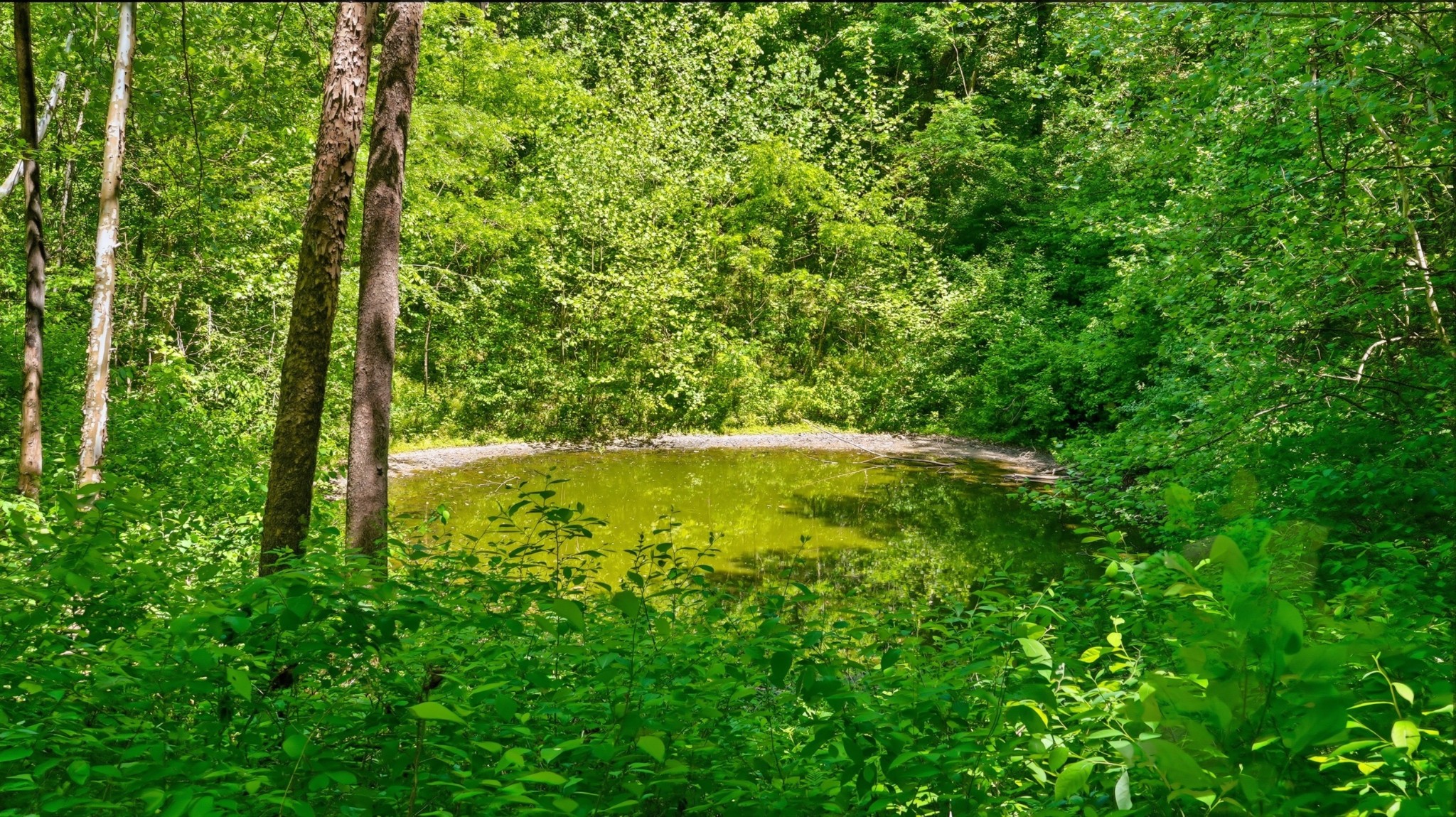 2431 Free State Road Gainesboro, TN 38562 - Photo 76 of 82