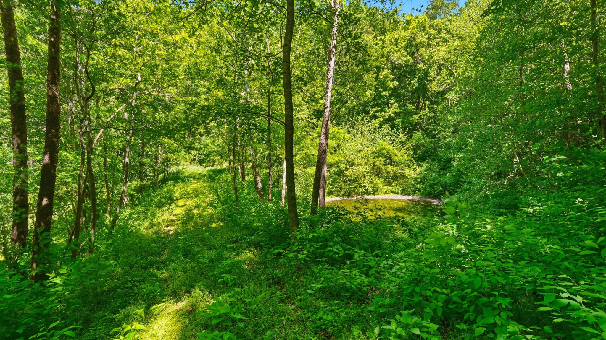 2431 Free State Road Gainesboro, TN 38562 - Photo 78 of 82