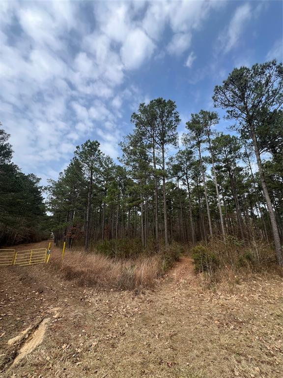 0 Vander Almond Road Minden, LA 71055 - Photo 2 of 6 a view of a lake with houses in the back