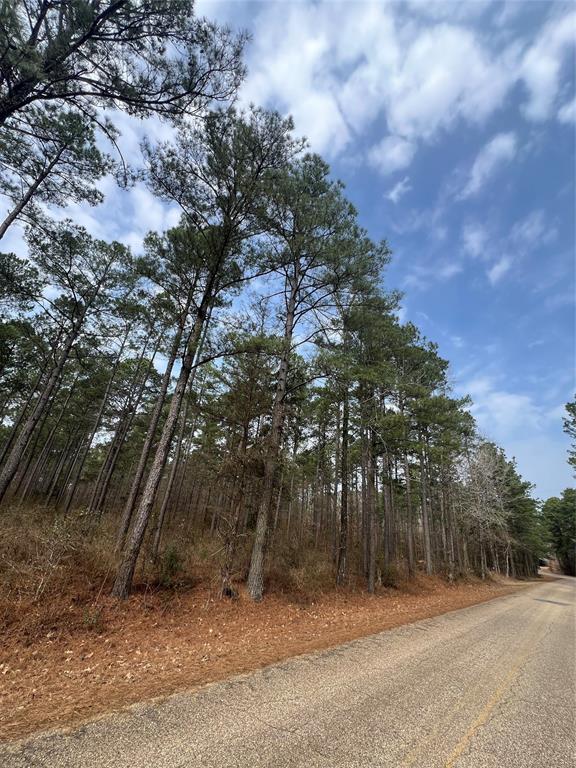 0 Vander Almond Road Minden, LA 71055 - Photo 3 of 6 a backyard of a house with lots of green space